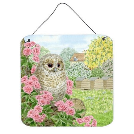 MICASA Tawny Owlet by Sarah Adams Wall or Door Hanging Prints MI632945